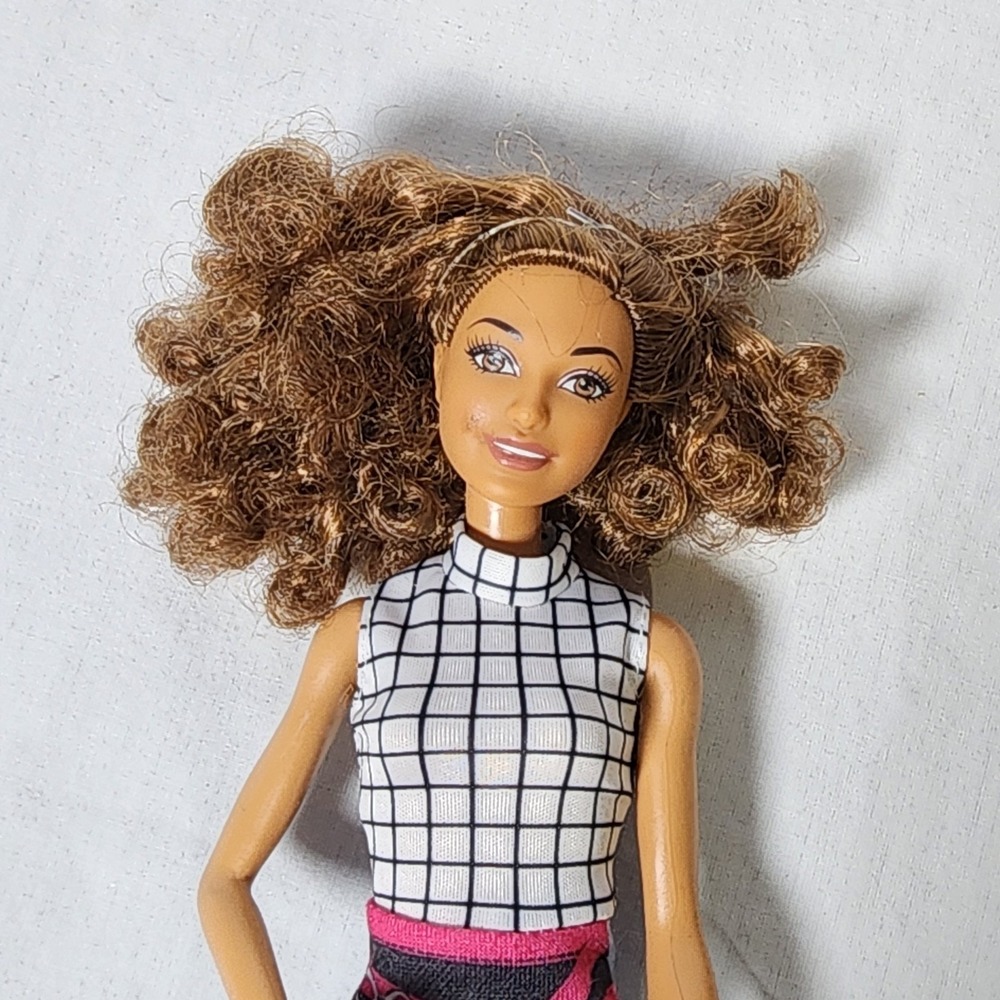 Mattel Barbie Careers Can Be Anything Pet Groomer Doll Brown Curly Hair